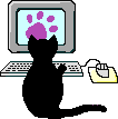 black cat typing on a computer