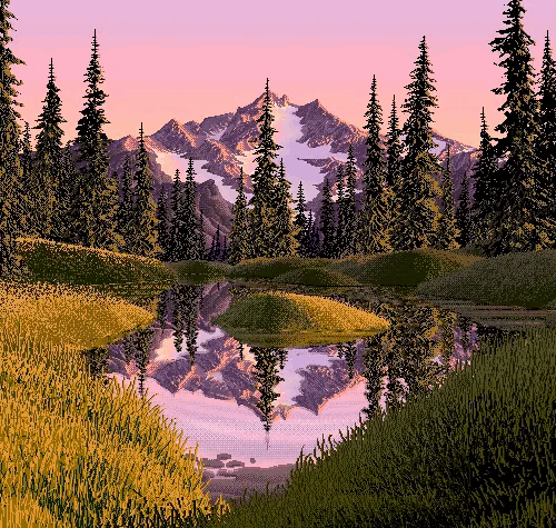 evening forest river