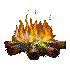 wood campfire
