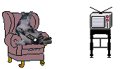 cat on a couch clicking a remote