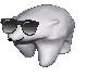 polar bear wearing sunglasses