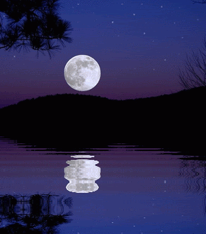 animated moon reflection on a lake at night