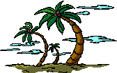 palm tree swaying in the wind
