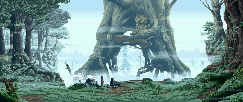 foggy forest