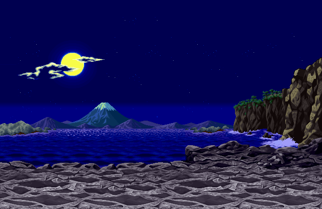 night rocky beach
