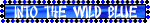 into wild blue