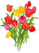 flower bouquet