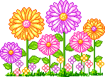 a bunch of pink and yellow flowers