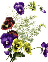 elegant bouquet of purple white yellow and red flowers