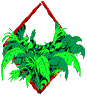 plant hanging by a red string